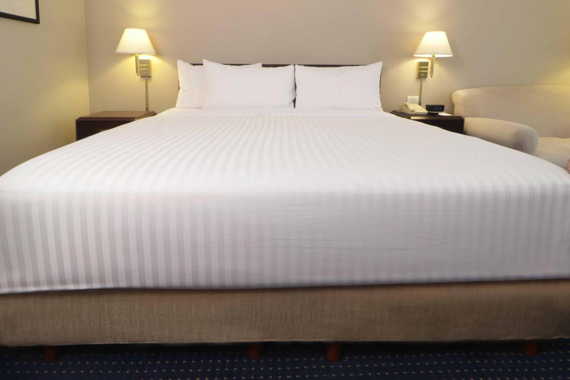 Wyndham Garden Monterrey Norte San Nicolás de los Garzas Eksteriør billede
